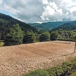 Osrodek Wypoczynkowy Pod Debem Bed & Breakfast Wojtowice