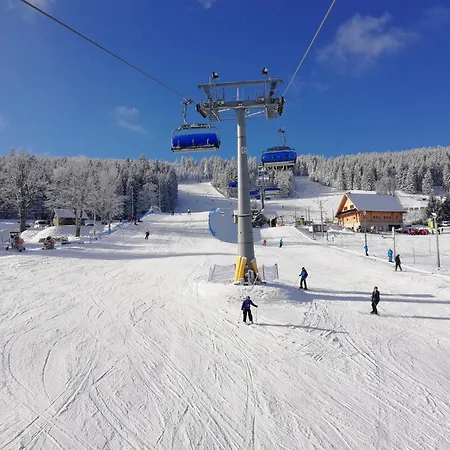 Osrodek Wypoczynkowy Pod Debem Bed & Breakfast Wojtowice