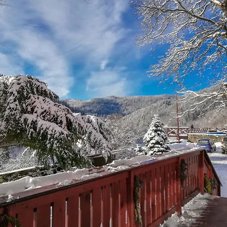 Osrodek Wypoczynkowy Pod Debem 3*