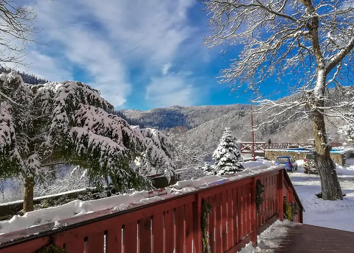 Osrodek Wypoczynkowy Pod Debem 3*