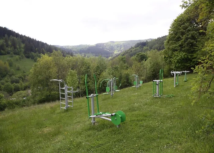 Osrodek Wypoczynkowy Pod Debem 3*